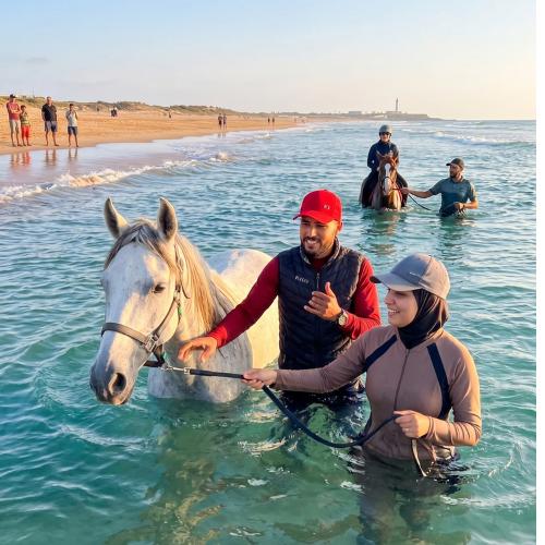 Baignade avec les Chevaux (1h)